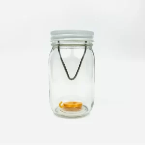 Gold Medal - Image 2