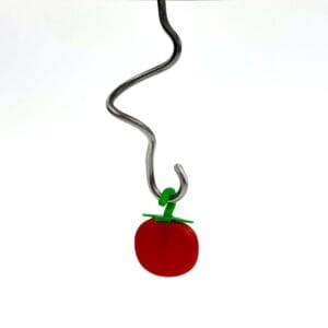 Tomato - Image 4